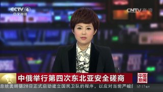 [中国新闻]中俄举行第四次东北亚安全磋商 | CCTV-4