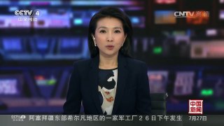 [中国新闻]朝鲜中央动物园重装上阵 “虎口”入园趣味足 | CCTV-4