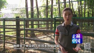 《走遍中国》 20160725 5集系列片《创业先锋》（1） 打造鸵鸟王国 | CCTV-4