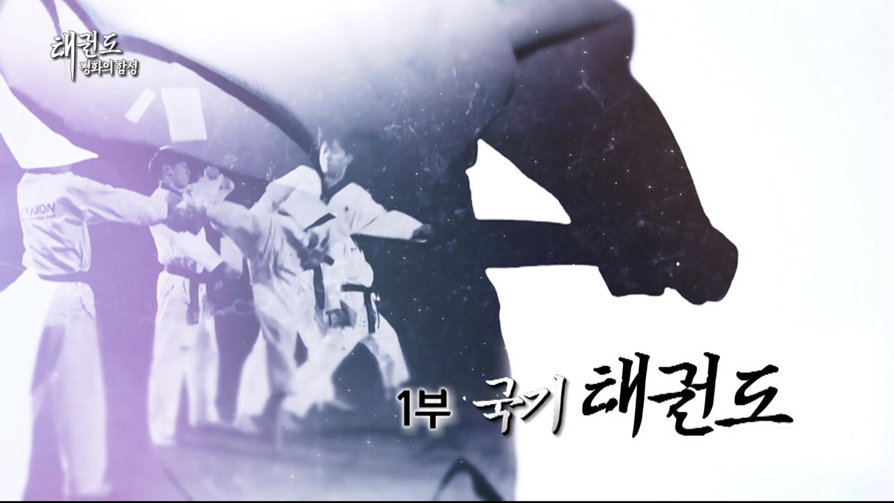 태권도 '평화의 함성' 1부 / YTN