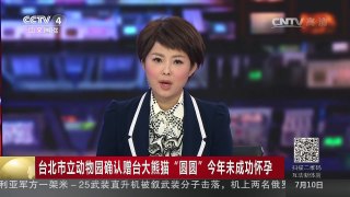 [中国新闻]台北市立动物园确认赠台大熊猫“圆圆”今年未成功怀孕 | CCTV-4