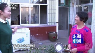 《走遍中国》 20160613 会赚钱的太阳能小镇 | CCTV-4