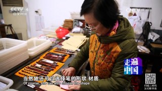 《走遍中国》 20160607 发丝上的金点子 | CCTV-4