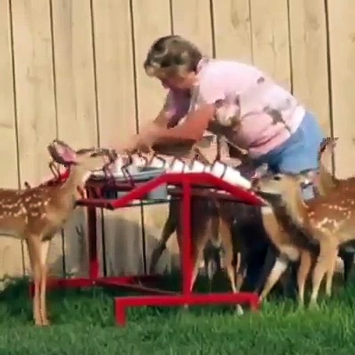 abuela de noble corazón