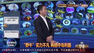 [中国舆论场]宋忠平： “野牛”能够让陆军参与夺岛作战 | CCTV-4