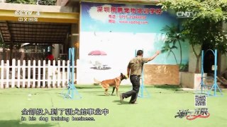 《流行无限》 20160521 赵先军 我和我的犬宝贝 | CCTV-4