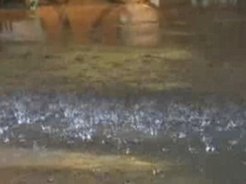 yasu shivering in the rain