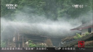 [中国新闻]云南：猎杀野生大熊猫 主犯被判13年 | CCTV-4