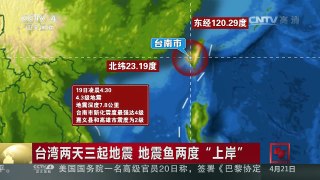 [中国新闻]台湾两天三起地震 地震鱼两度“上岸” | CCTV-4