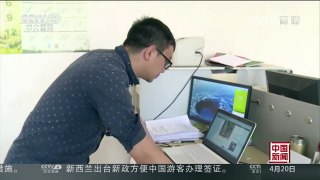[中国新闻]云南普洱：红外相机记录野生绿孔雀开屏 | CCTV-4