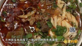 《远方的家》 20160404 特别节目——长城内外（116）黄河之都 金城兰 | CCTV-4