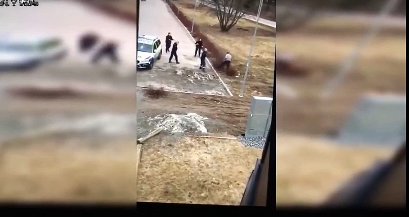 سورى يضرب اربع رجال من الشرطه فى المانيه
