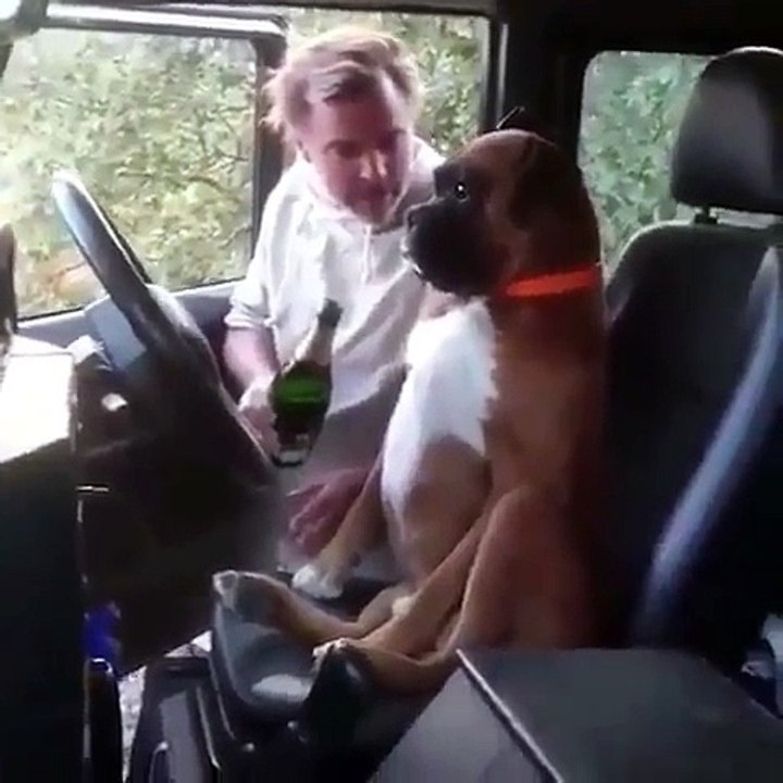 099. “DD’s preparing for tonight... Drive safe Rams ”