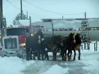 Amish horse and buggy pull free a tanker truck stuck in the snow