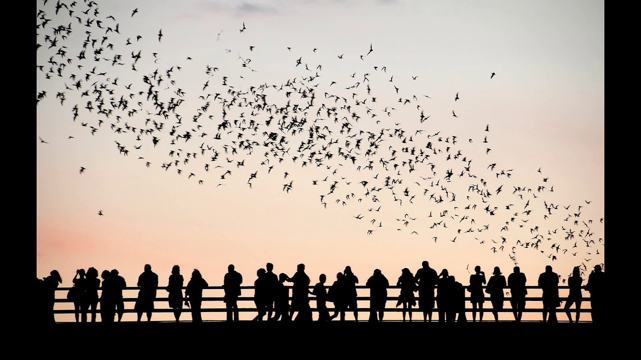 Ya Lili Harika Şarkının 2.Versiyonu Remixle Sizlerle