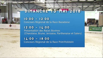 Aquitanima 2018 - Concours régional de la race BAZADAISE