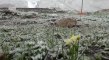 Rize’de Mayıs ayının ortasında kar sürprizi