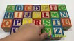 Learn the Alphabet & English Words With ABC Playskool Blocks And ABC Songs for Children And Kids
