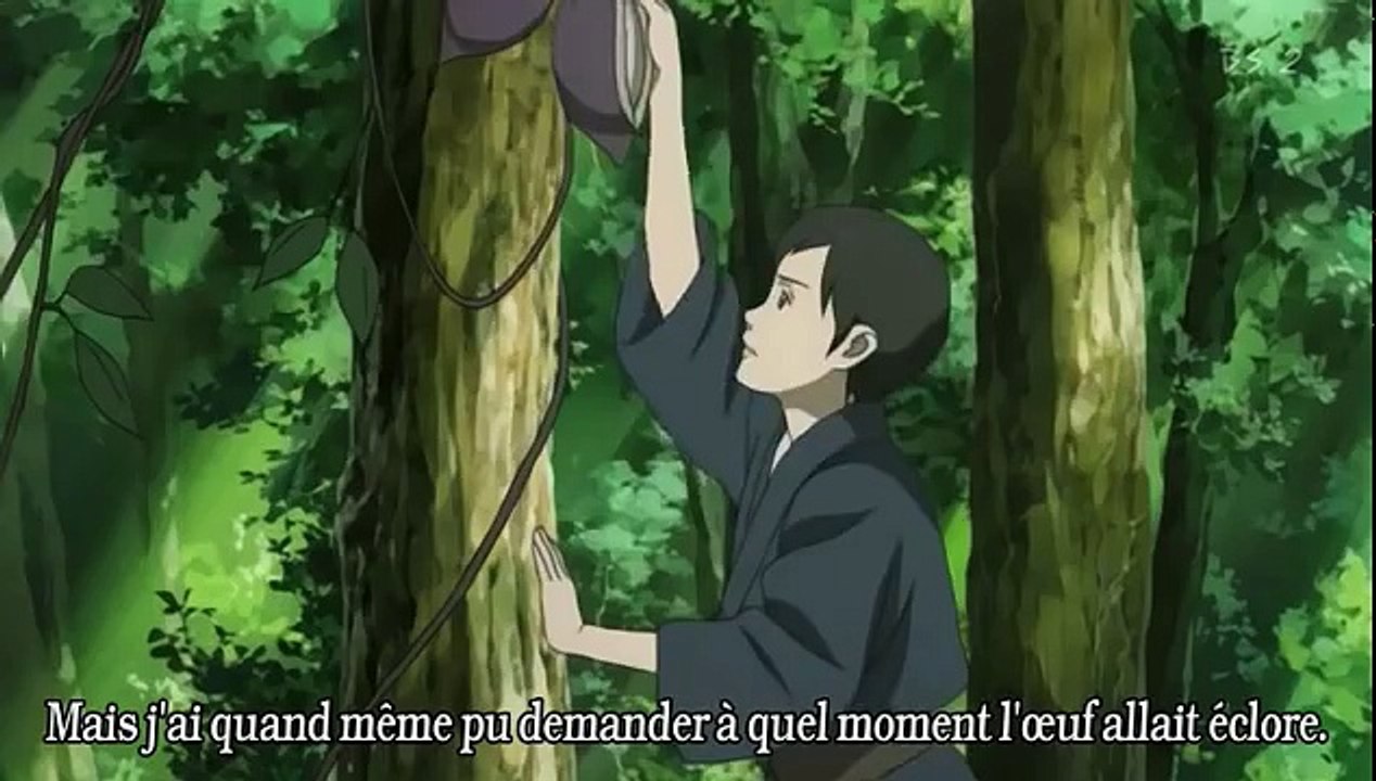 Seirei No Moribito 15 vostfr