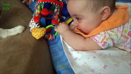 Puppies and Babies Playing Together Compilation (2014)