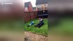 Hilarious moment UK dad slide tackles 4-year-old son