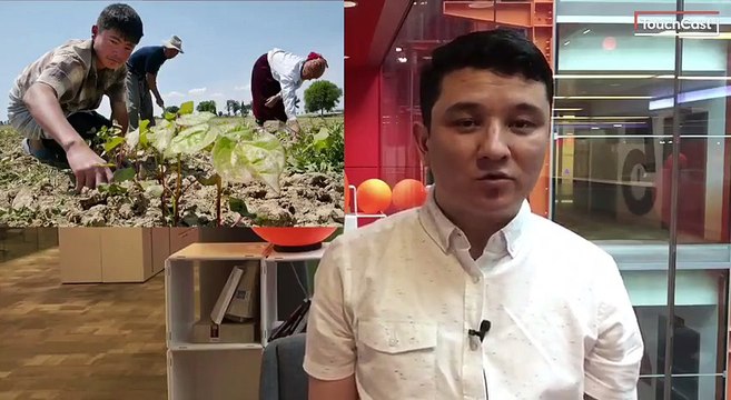 Мирзиёевнинг янги қарори деҳқоннинг косасини оқартирмайдими?Mirziyoyevning yangi qarori dehqonning kosasini oqartirmaydimi? bbc.com/uzbek/uzbekista