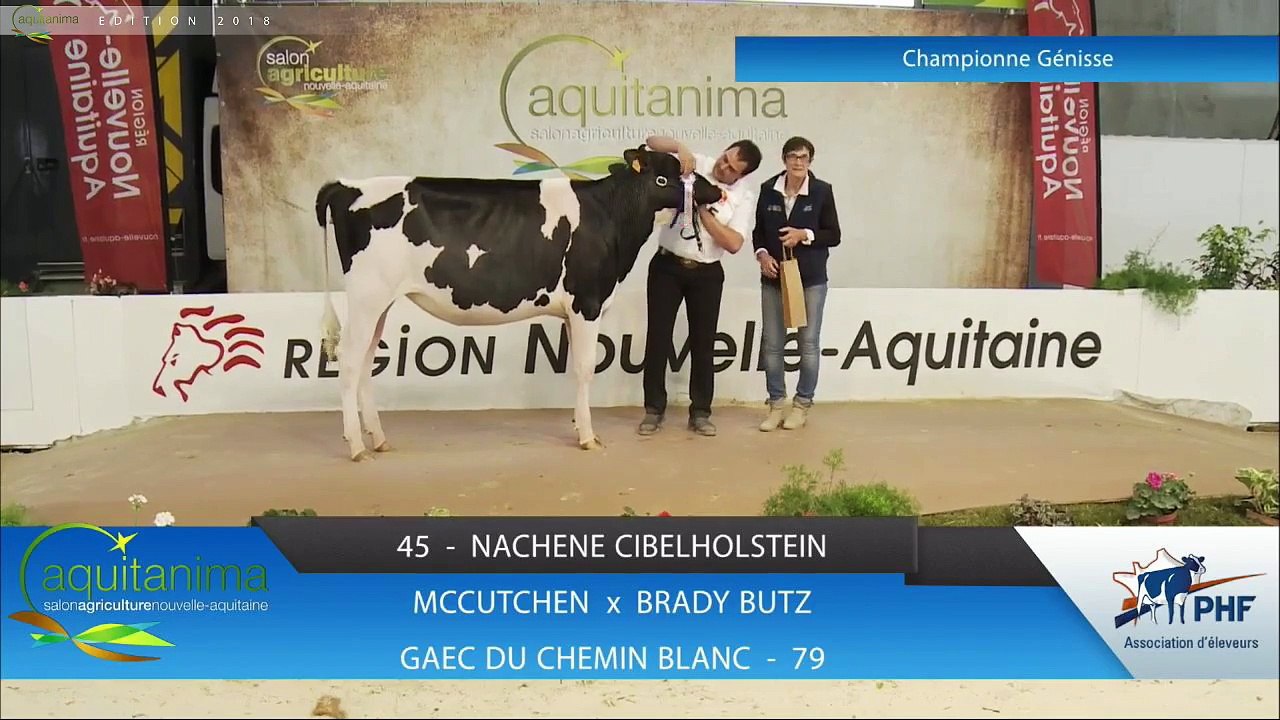 Aquitanima 2018 - Concours régional de la race Prim’holstein
