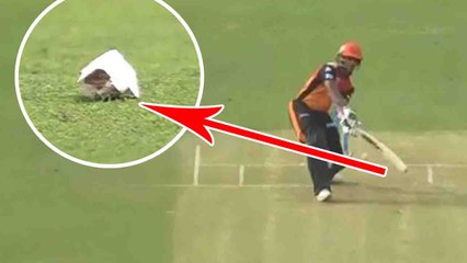 IPL 2018 : Shikhar Dhawan breaks his bat while hitting a blazing shot | वनइंडिया हिंदी