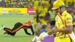 IPL 2018 : Suresh Raina plays poor short , Kane Williamson takes stunning catch | वनइंडिया हिंदी