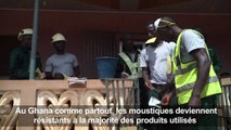 Le Ghana combat le paludisme avec de nouveaux produits chimiques