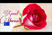 Latest Good Morning wishes, SMS, greetings, Whatsapp Video message