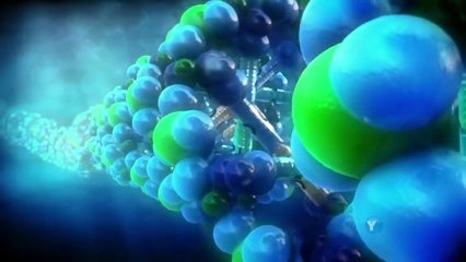 What Darwin Never Knew NOVA HD part 1/3