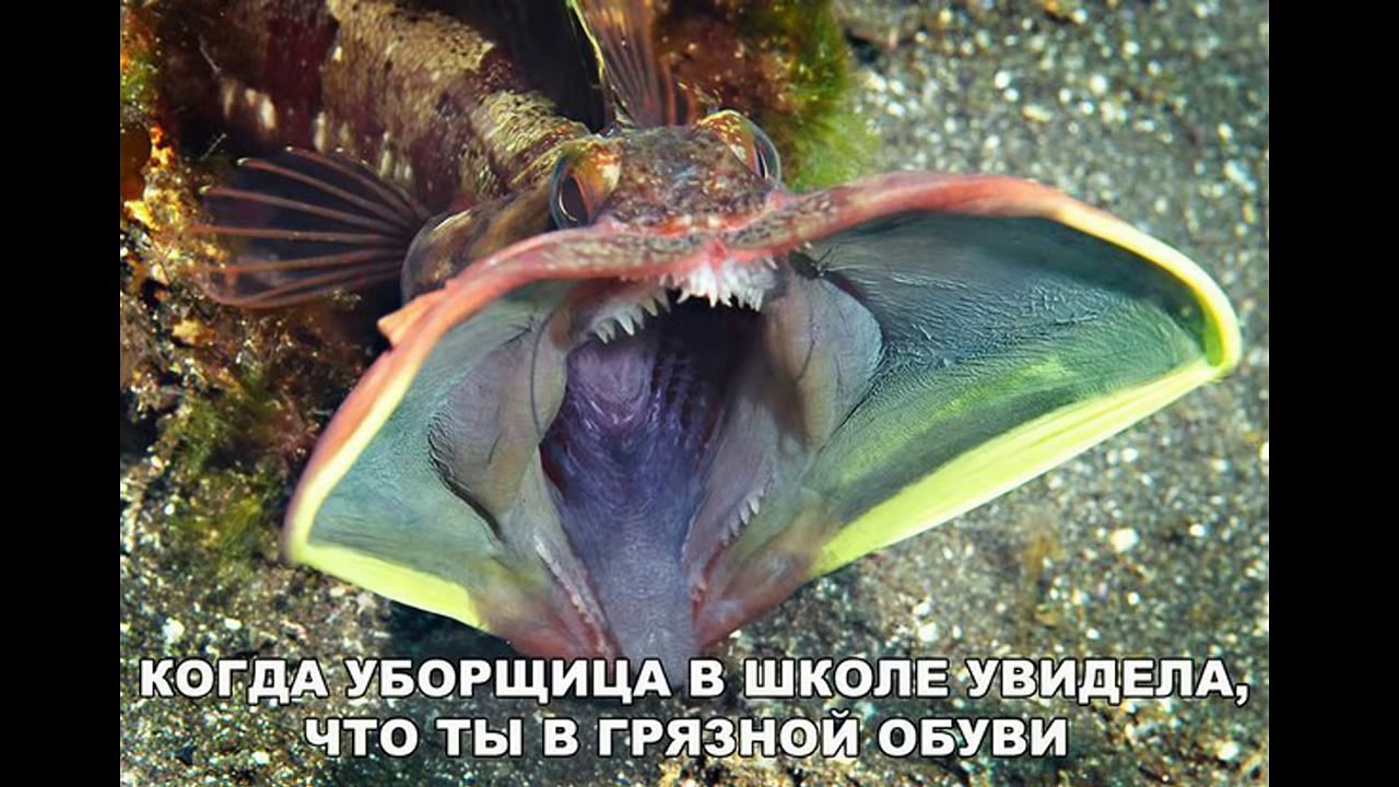 Лютые приколы. Секрет Молнии Маквина и Паровозика Томаса