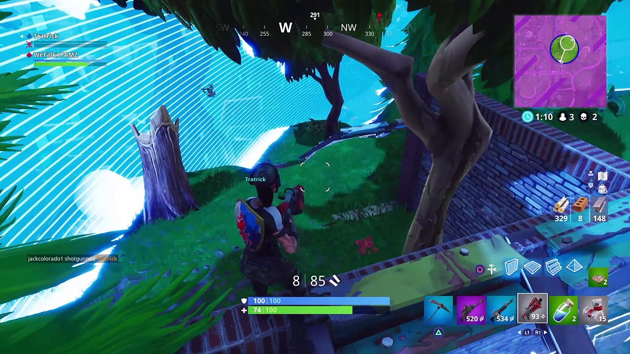 Mothers  Day Especial W Triz