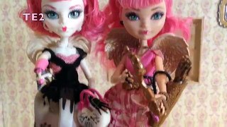 C.A. Cupid Monster High vs Ever After High