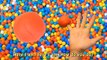 Finger Family Sea Animals Ball Pit Rhymes | Play doh ballpit learning colors | Finger Family Song