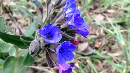 НЕДЕЛЯ ШМОГОВ! УГАДАЙТЕ КТО В ГОСТЯХ | АМИТЕШ