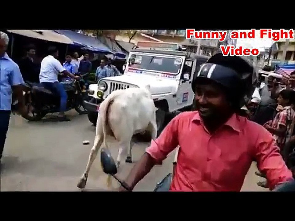 Indian Police jeep and Bull fight - Viral India