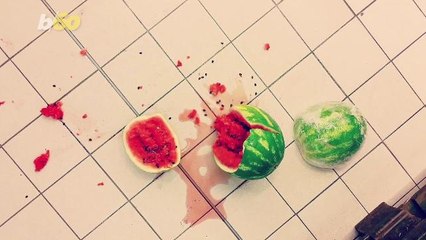 When It Comes to Dropped Food, Can You Trust the 5 Second Rule?