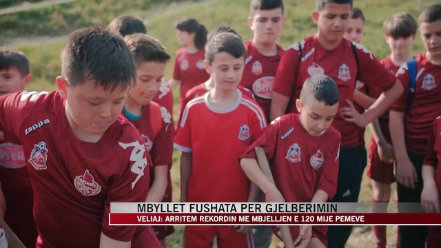 Mbyllet fushata për mbjelljen e 120 mijë pemëve - News, Lajme - Vizion Plus