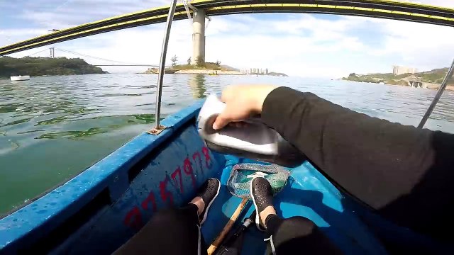 汀九艇仔初體驗巧遇爛肉梭(香港釣魚)(Hong Kong fishing)(路亞釣魚)(Lure fishing)