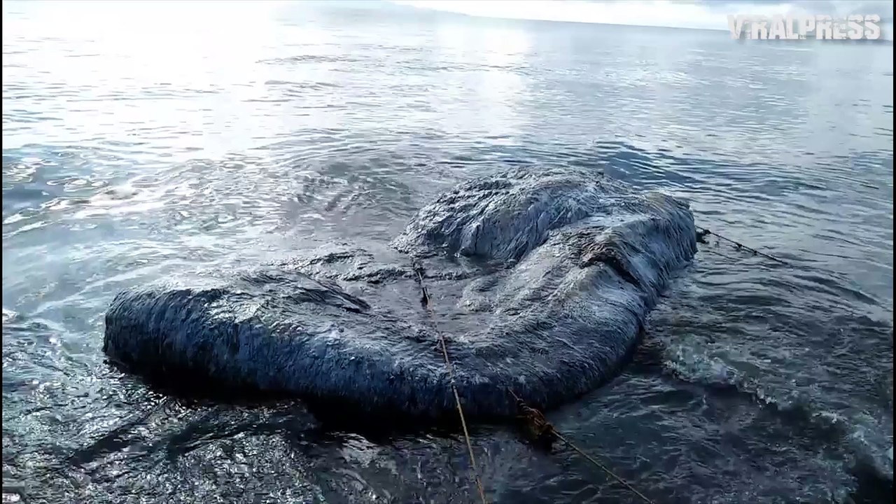 Globster On The Beach