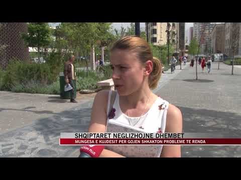 Shqiptarët neglizhojnë kontrollet e dhëmbëve - News, Lajme - Vizion Plus