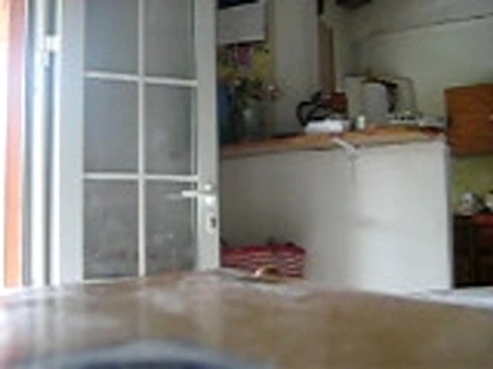 Marsav.AVI