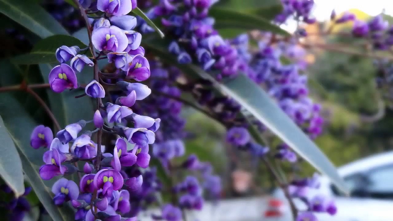 【癒し・作業用BGM】Classic On Music Box 名曲クラッシック・オルゴール part 1/2