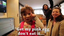 How To Make Money Raising Egg Laying Chickens