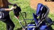Joovy Caboose Ultralight Sit and Stand Stroller Review