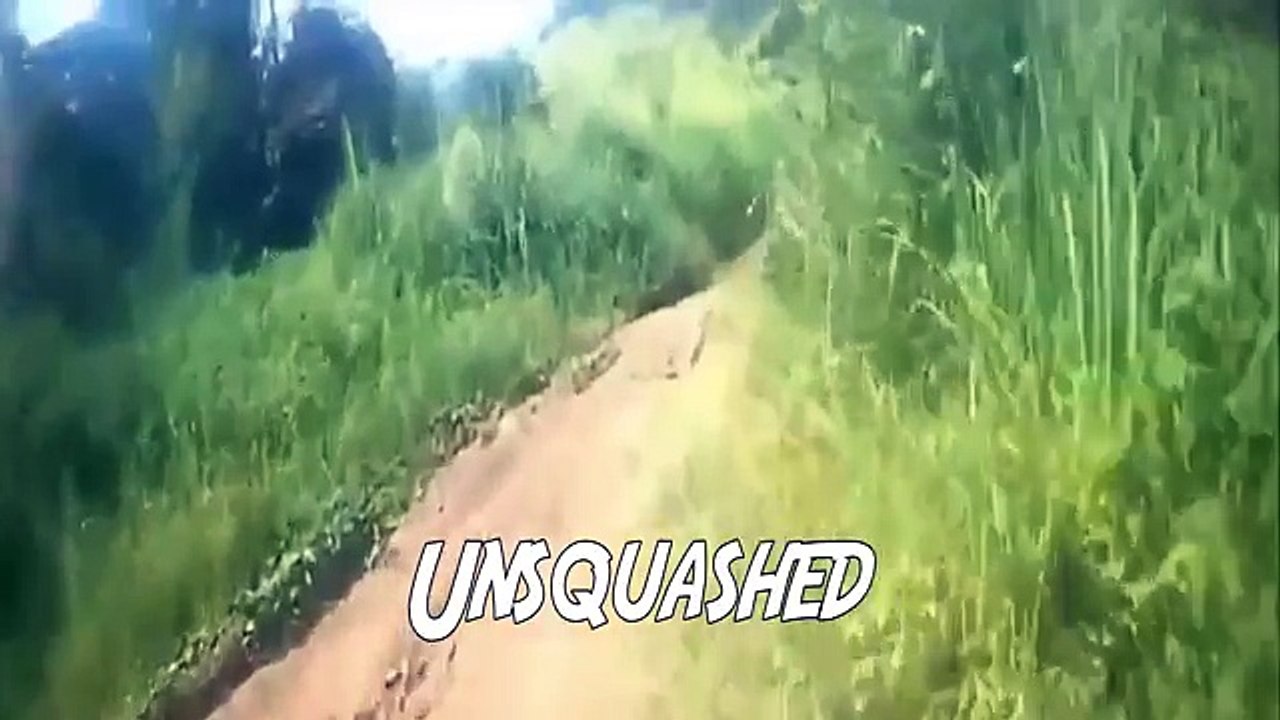Top 10 Creepiest Gnomes Caught on Camera | April 2017