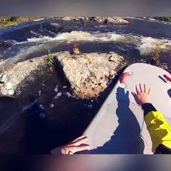 NTD Funniest - These heroes made my day!