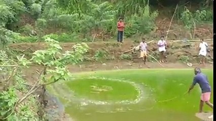 Fishing Tips and Techniques 🎣